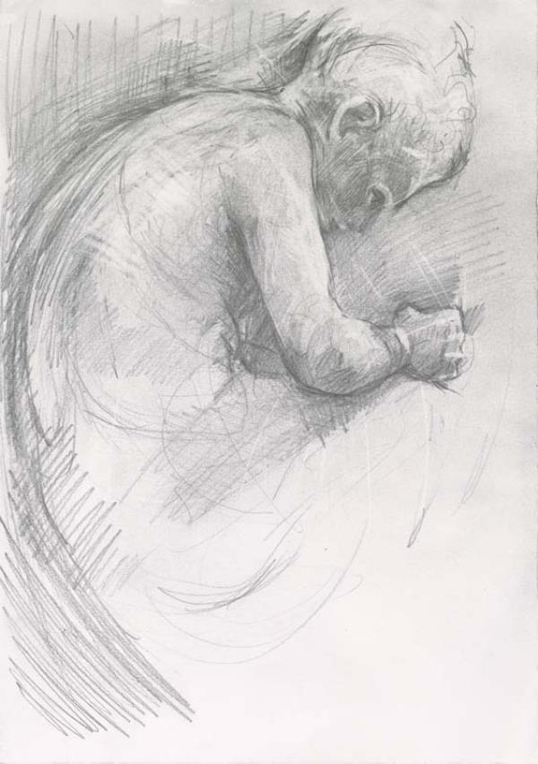 The Spinario
