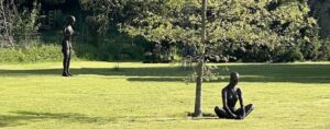 Where Dreams Come From under a tree in a garden